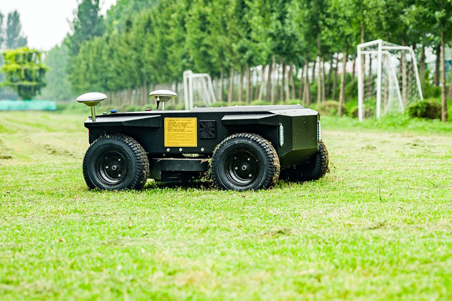 Kelpie side profile on mown sports turf